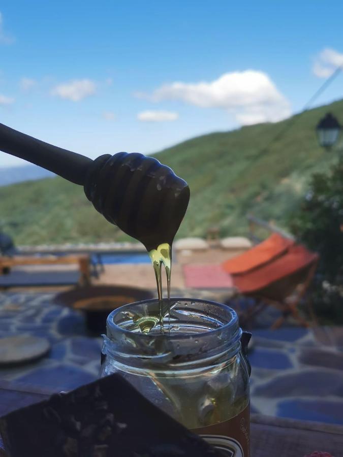 タラスナル Casa Do Ti Toteヴィラ エクステリア 写真